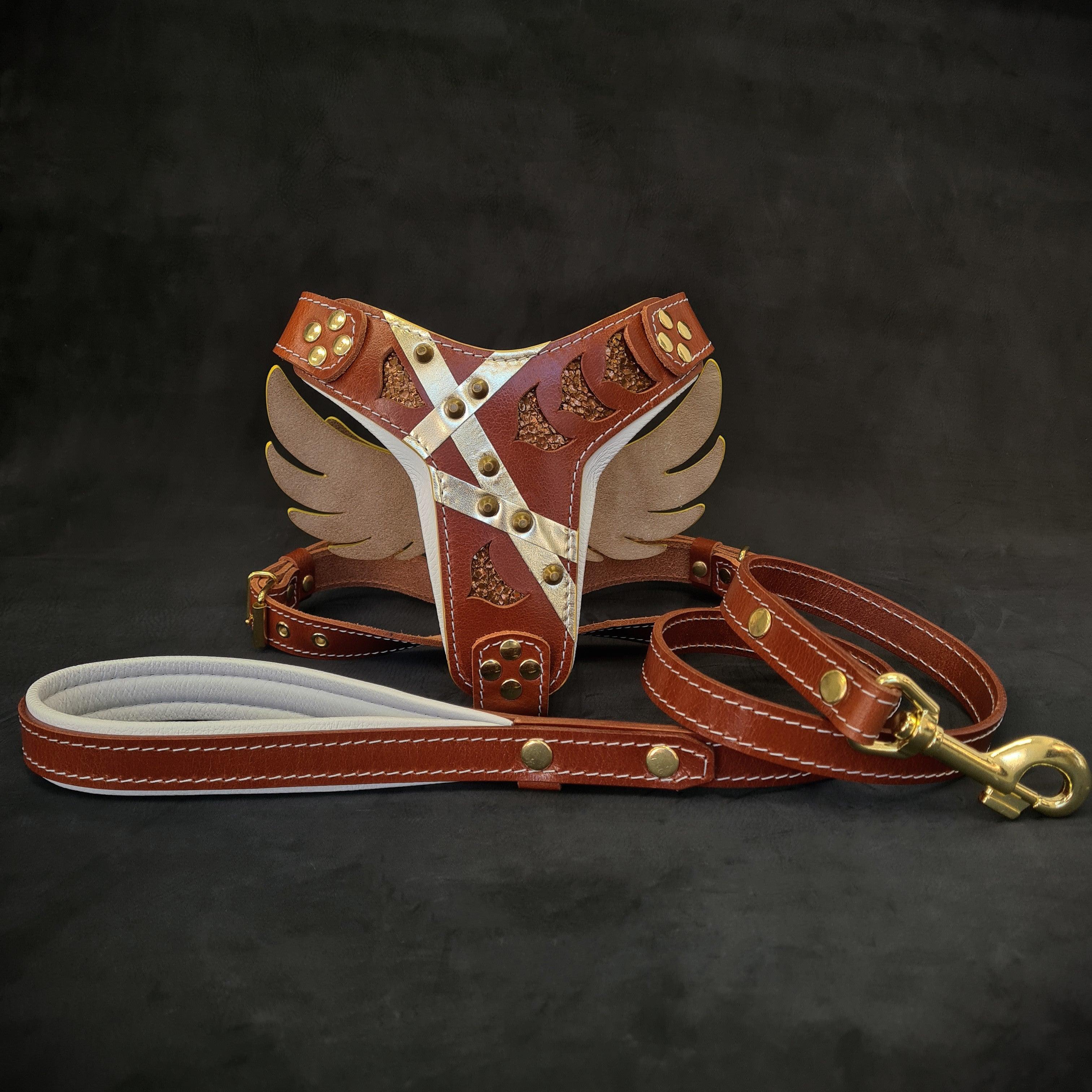 Conjunto "Hermes" - arnés y correa