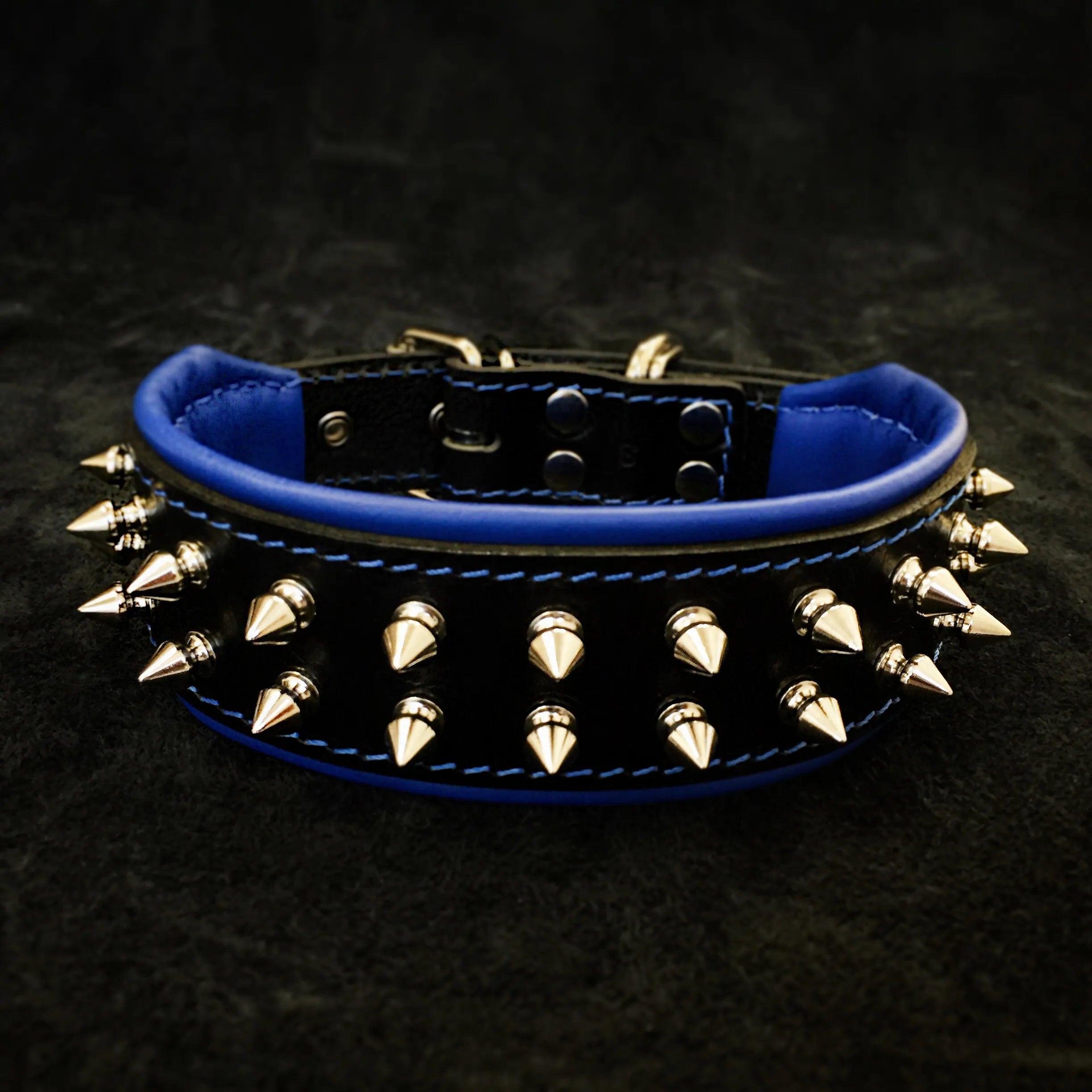 Frenchie Collar