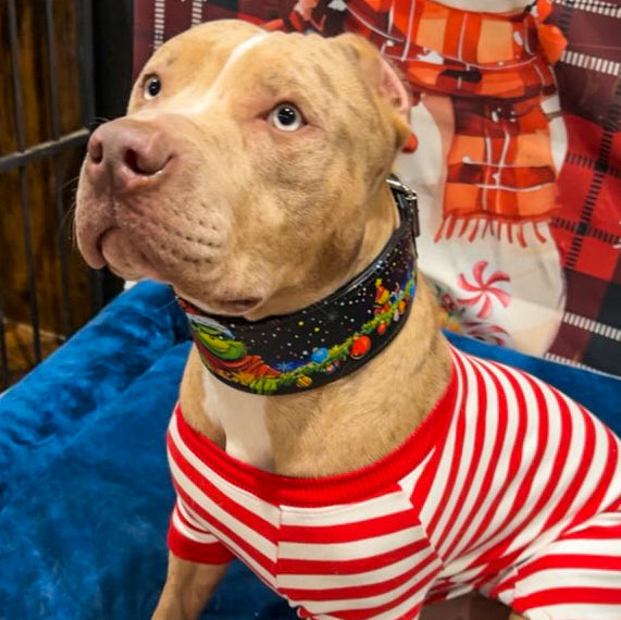 El collar limitado de Grinch