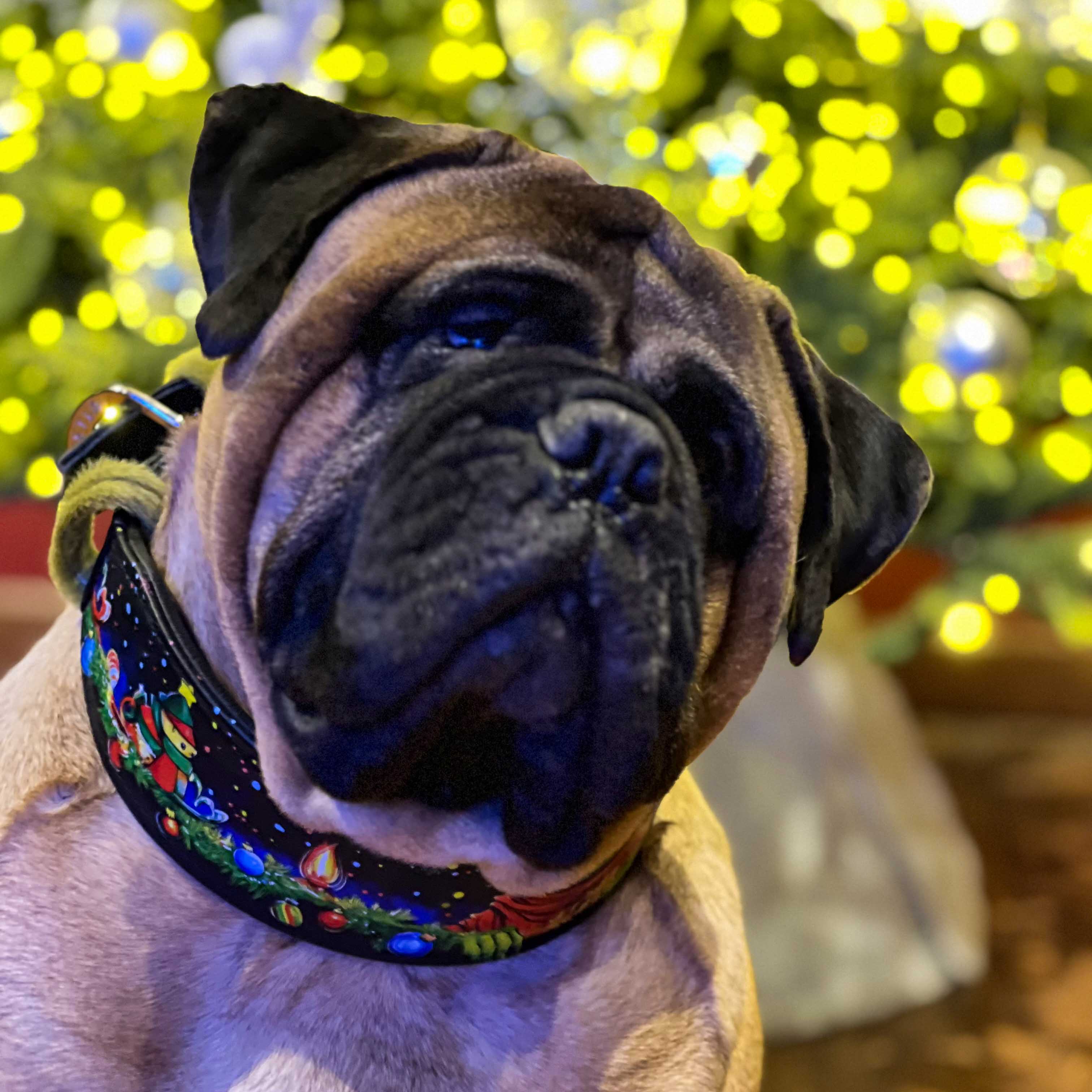 El collar limitado de Grinch