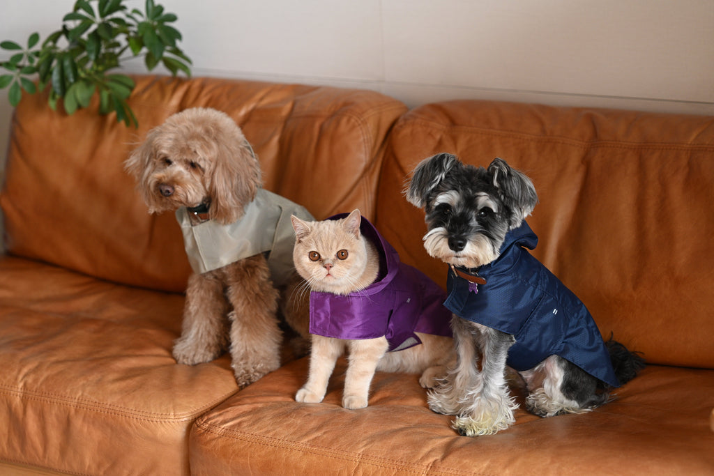 Capsule Raincoat - Blue