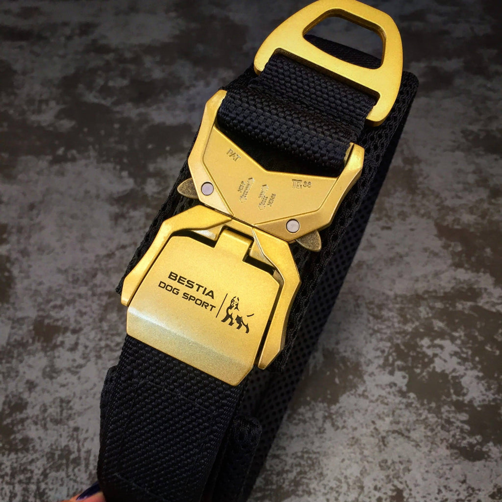 COLLAR DE LIBERACIÓN RÁPIDA BESTIA DOG SPORT NEGRO Y DORADO