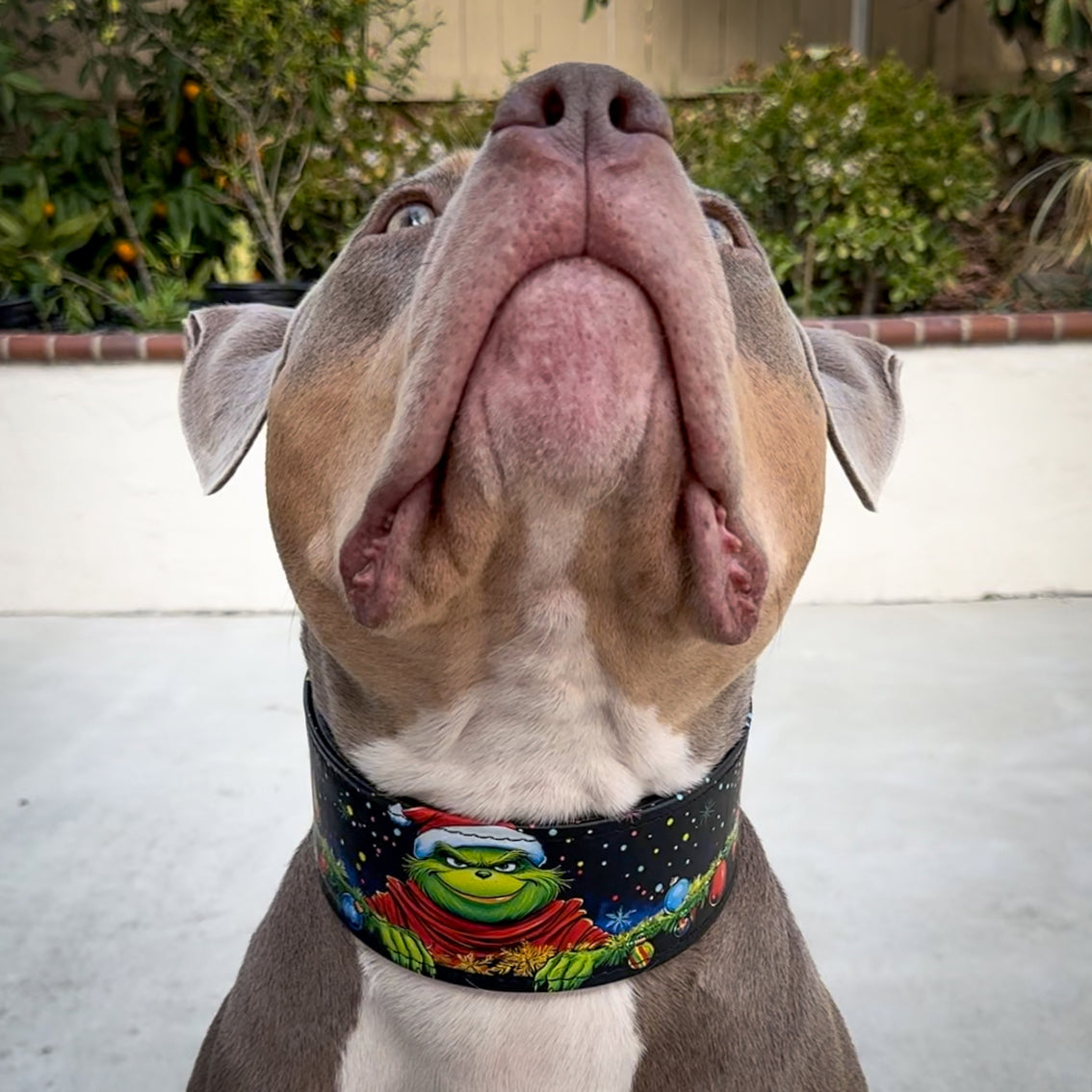 El collar limitado de Grinch