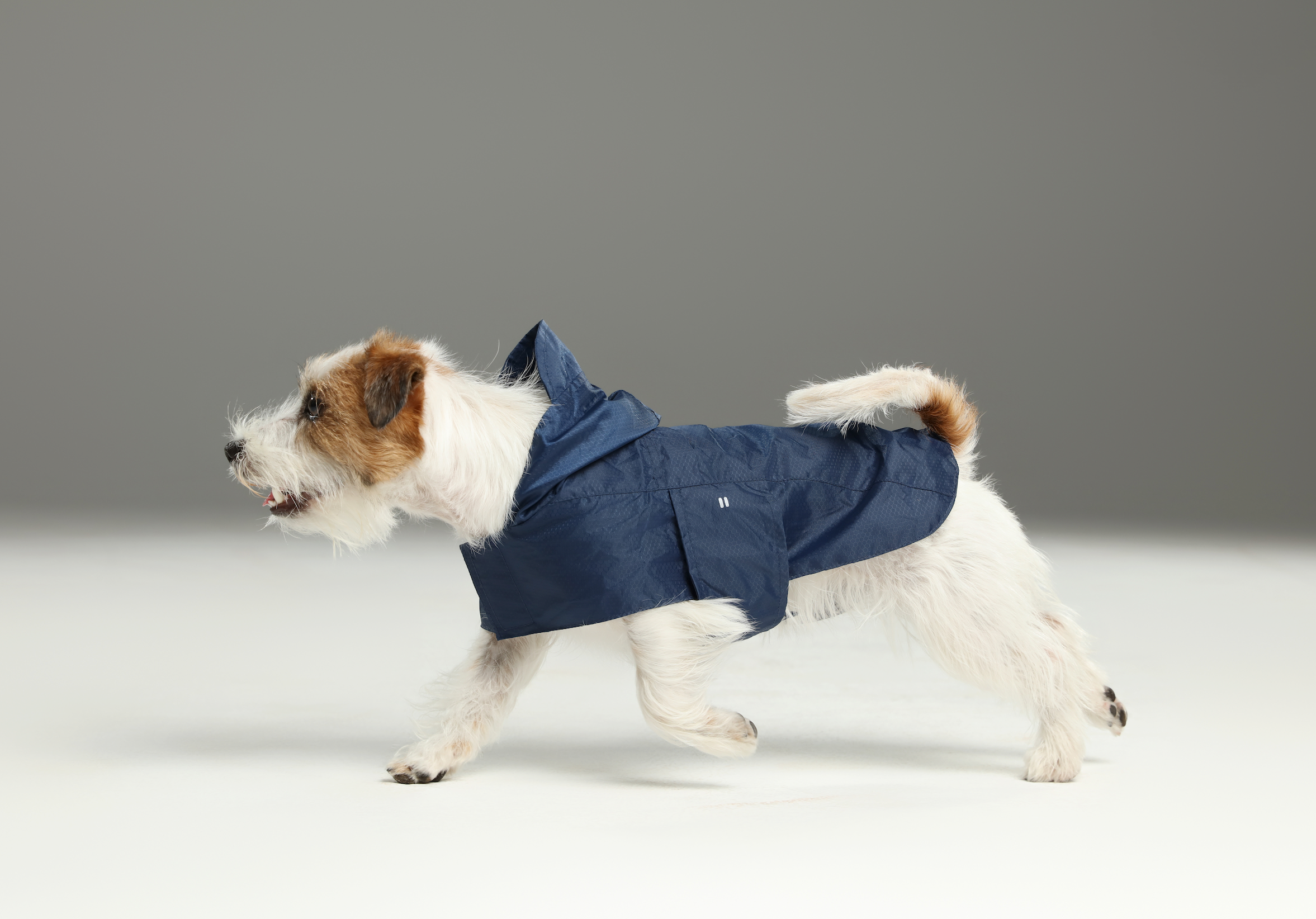 Capsule Raincoat - Blue