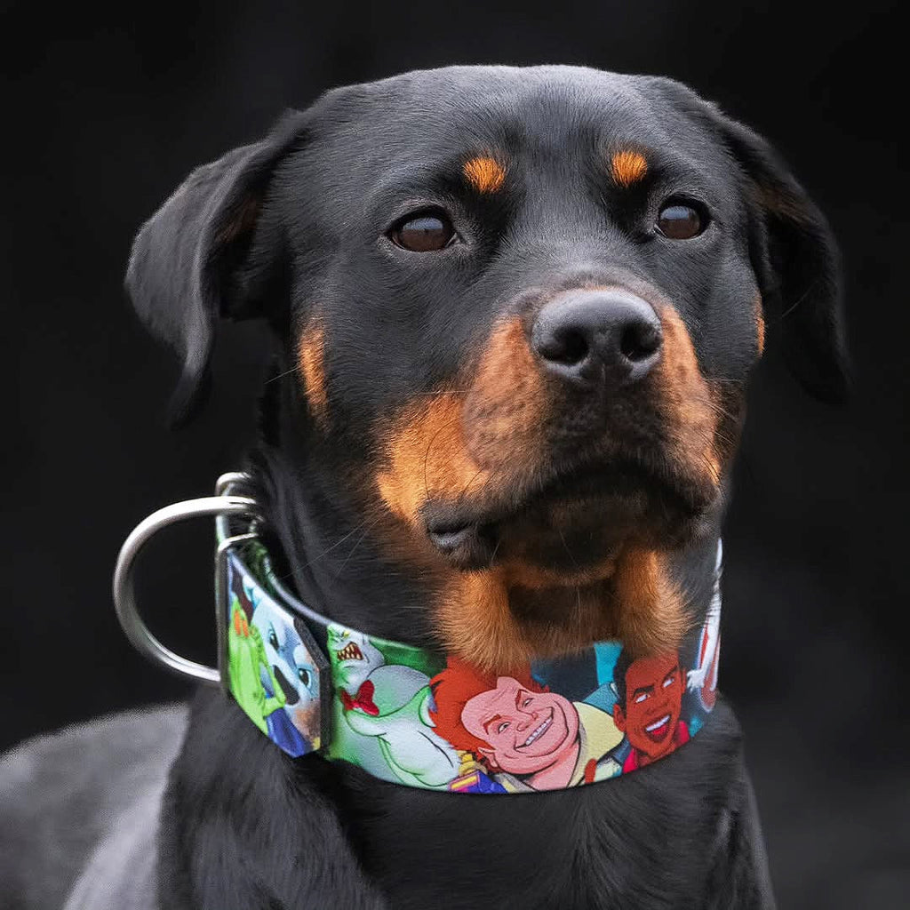 El collar “Cazafantasmas” - EDICIÓN LIMITADA 