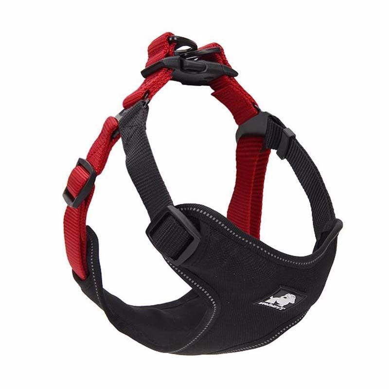 Comfortmesh Dog Leash Collar: Convenient And Stylish Walking Companion For Dogs Of All Sizes