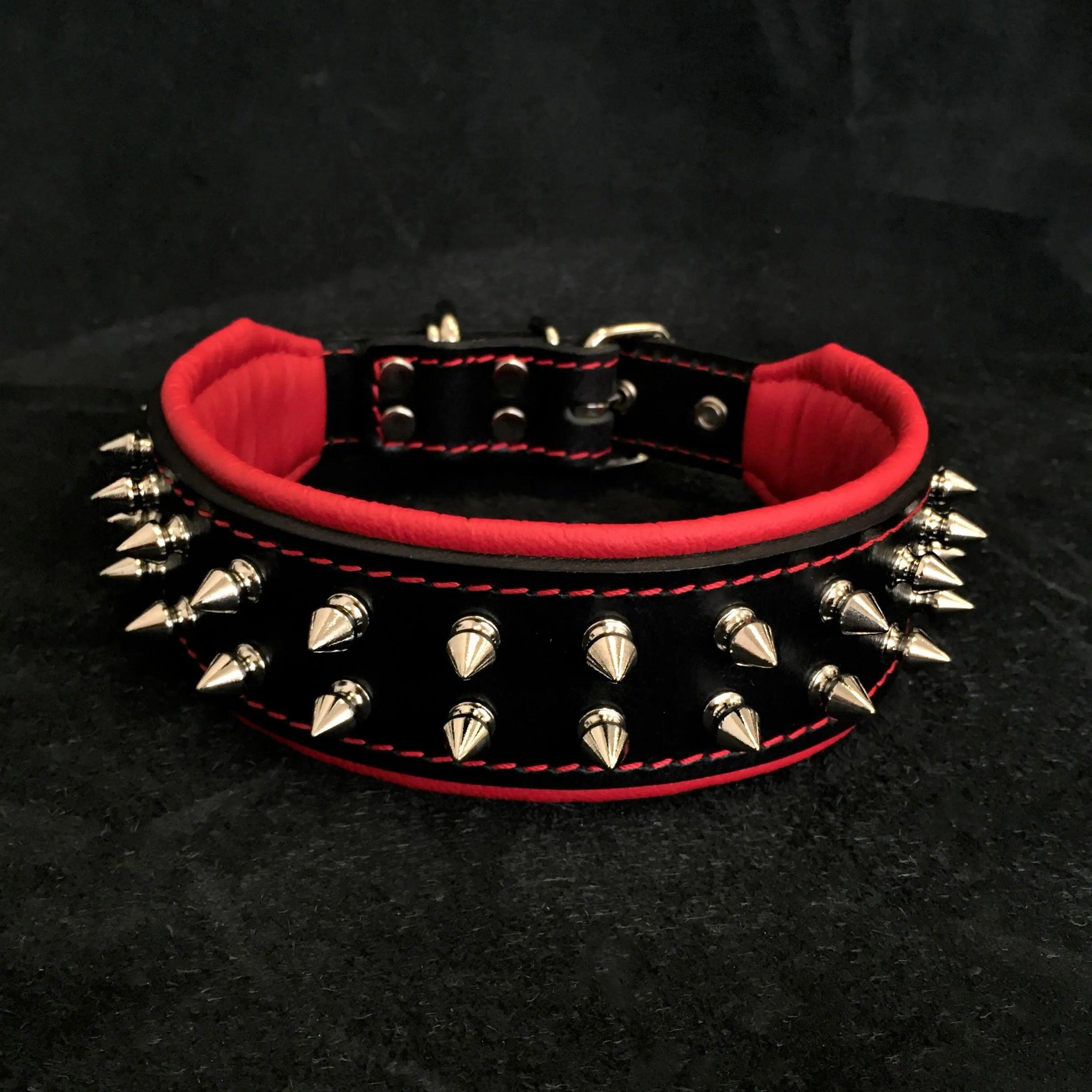 Frenchie Collar