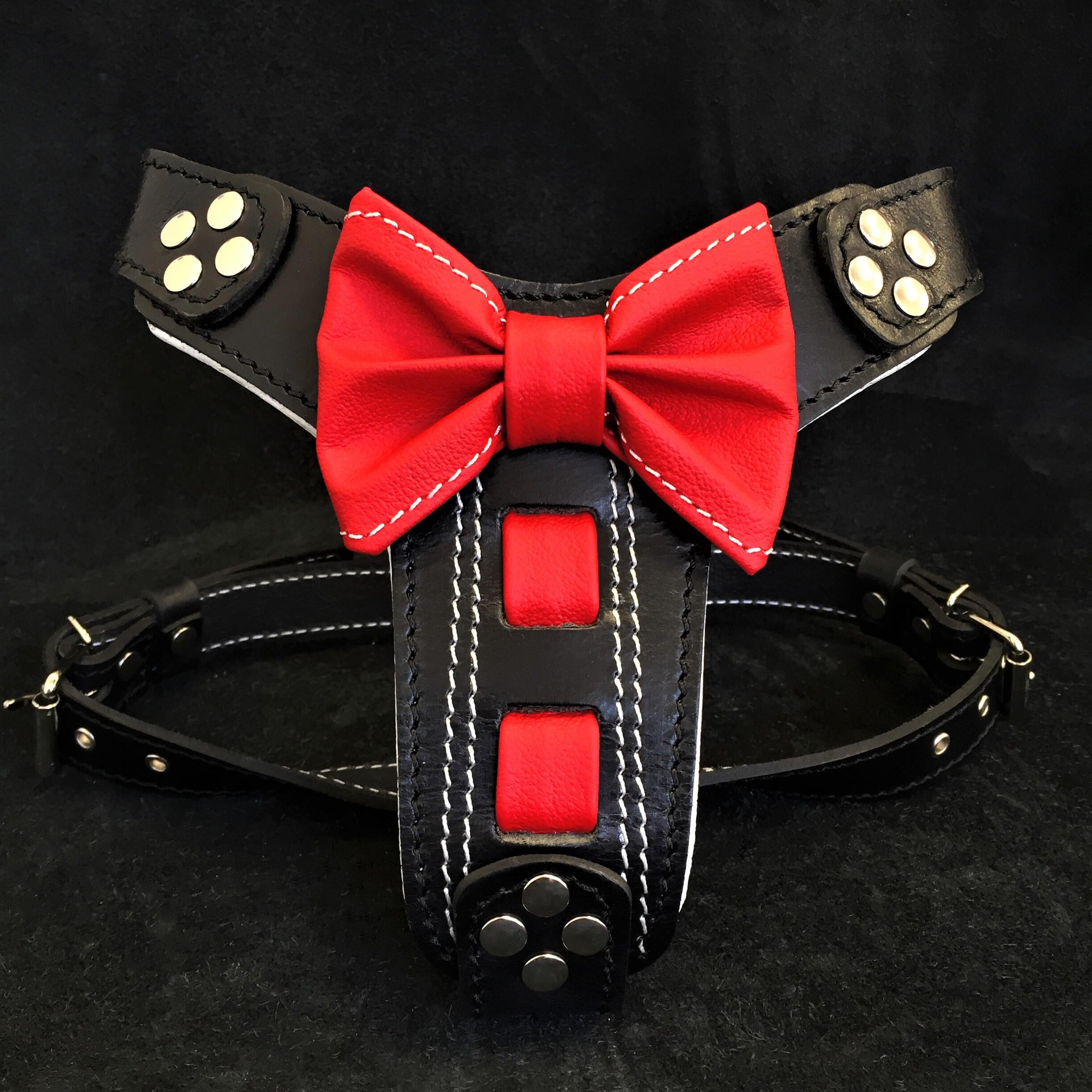Arnés de cuero artesanal "Bowtie" color negro talla pequeña a mediana