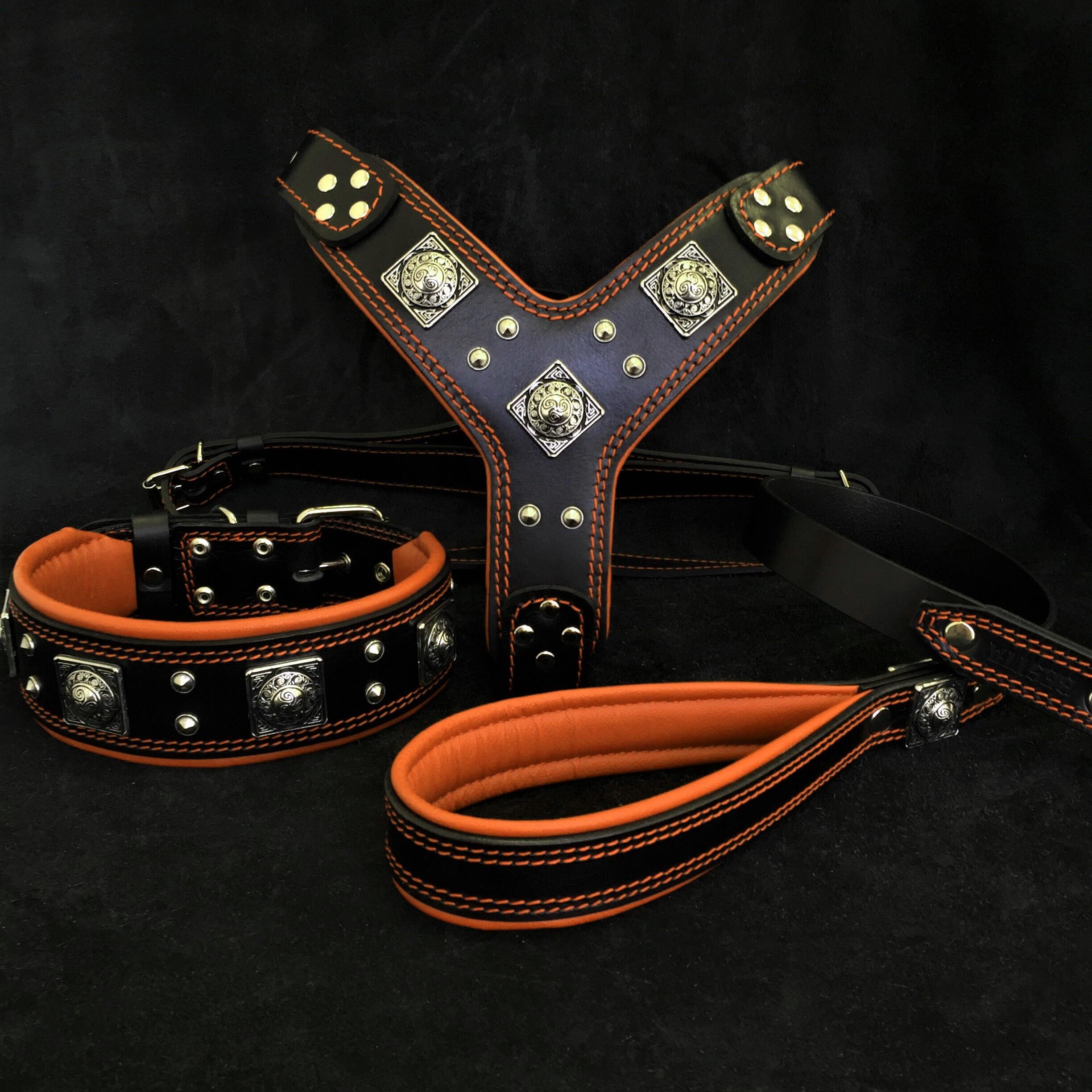 "EROS" BIG dog SET- Harness - collar - lead. Black &amp; Orange